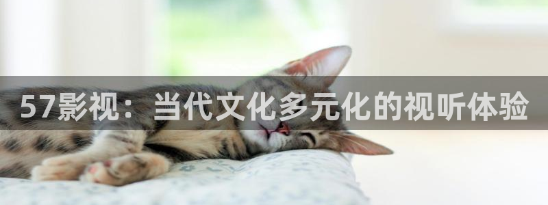 天狼影院2020最新电视剧免费观看全集